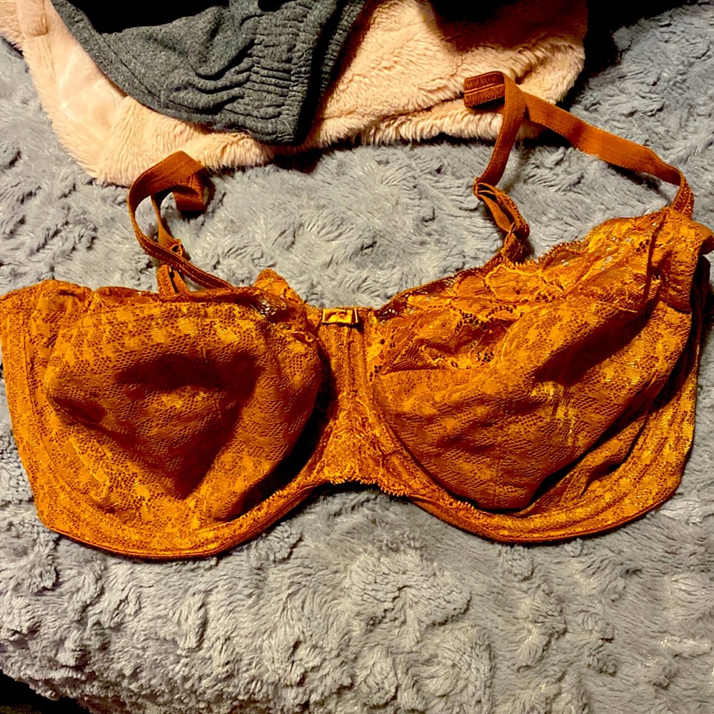 Burnt orange bra 36F Panache brand from Bravissimo